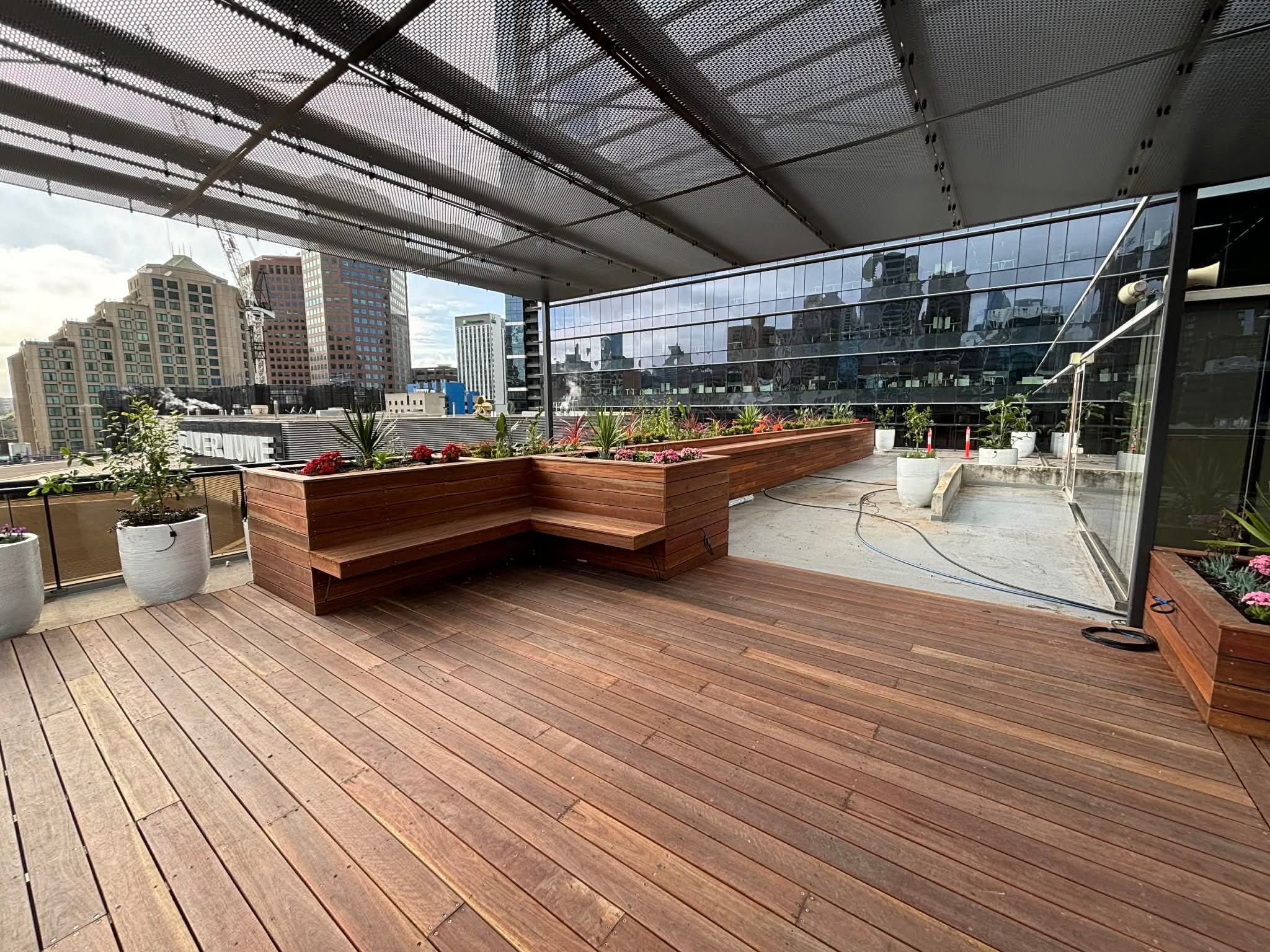 Spotted Gum